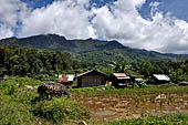 Hike up to Batutumonga north of Rantepao - tongkonan village 