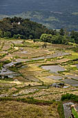 Hike up to Batutumonga north of Rantepao - rice terraces