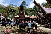 Bori Parinding villages - Traditional toraja funeral ceremony.