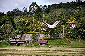 Bori Parinding villages - Traditional tongkonan village 