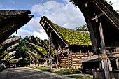Ke'te Kesu - Traditional tongkonan house. 