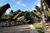 Ke'te Kesu - Traditional tongkonan house. 