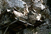 Ke'te Kesu - burial places, coffins suspended on wooden beams  