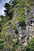 Londa - Burial chambers are carved from the cliff as far as 50 meters from the ground.  