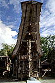 Pallawa - Traditional tongkonan house. 