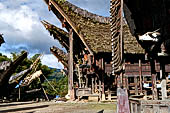 Pallawa - Traditional tongkonan house. 