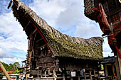 Pallawa - Traditional tongkonan house.
