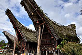 Pallawa - Traditional tongkonan house.
