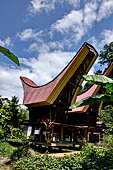 Suaya - Traditional tongkonan house