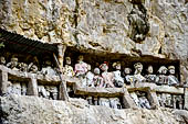 Suaya village, king's stone memorial graves, bodies placed in rock-hewn niches behind wooden effigies of the dead (known as tau tau)