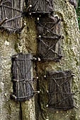 Suaya - baby graves in trees