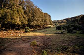 Campo all'oasi di Burano (Aprile 1995). Passeggiata alla rocca di Talamone.
