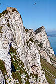 Gibilterra, la cresta della rocca, in primo piano la Signal Hill Battery. 