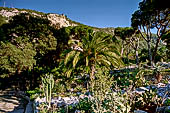 Gibilterra, gli Alameda Gardens.