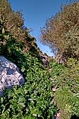 Gibilterra, i Mediterranean Steps. 