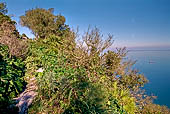 Gibilterra, i Mediterranean Steps. 