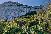 Gibilterra, i Mediterranean Steps. 