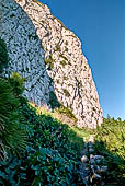Gibilterra, i Mediterranean Steps. 