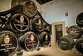 Jerez de la Frontera, Bodega Gonzales-Byass, cantina Los Reyes, dedicata alla famiglia reale spagnola.