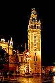Seville, night view of the Giralda