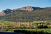 Tarifa, il sito archeologico di Baelo Claudia. Le colonne della basilica. 