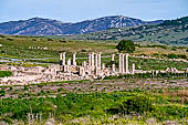 Tarifa, il sito archeologico di Baelo Claudia. Le colonne della basilica. 