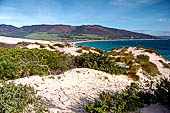 Tarifa - L'insenatura de Los Lances. 