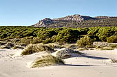 Tarifa - L'insenatura di Bolonia. 
