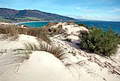 Tarifa - L'insenatura de Los Lances. 