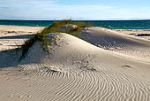 Tarifa - L'insenatura di Bolonia. 