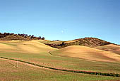 Paesaggio tra Zahara de la Sierra e Setenil de las Bodegas. 