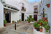 Vejer de la Frontera, gli abitanti ci concedono di entrare nei patios arricchiti da vasi e piante nello stile andaluso.