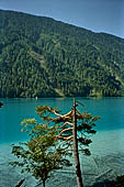 Austria. Carinzia. Varie vedute del Weissensee , Ostufer