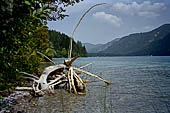 Austria. Carinzia. Veduta del Weissensee.