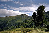 Austria, Carinzia. Monti del Nock. Escursione al Windbensee.  Ilversante Nord del Felkert kopf.