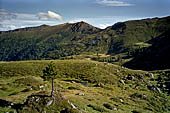 Austria, Carinzia. Monti del Nock. Escursione al Windbensee.  Guardando verso sud dal Windeben la costiera dello Steinnock-Falkertkopf. 
