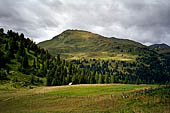 Austria, Carinzia. Monti del Nock. Escursione dalla Turracher Hohe al Windbensee e poi a St Oswald.Siamo giunti lalla Winkleralm. Un ampio alpeggio dove  possibile spingere lo sguardo fino al Gragerlenock. 