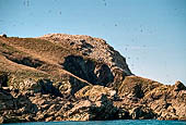 Costa di granito rosa. Riseva delle Sept-Iles, Colonia di sule sull'isola di Rouzic 