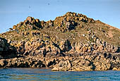 Costa di granito rosa. Riserva delle Sept-Iles e Isola dei Monaci  