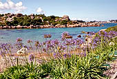 Costa di granito rosa. Il sentiero dei Doganieri - La spiaggia di Saint-Guirec. 