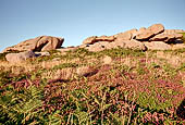 Costa di granito rosa. Il sentiero dei Doganieri. La vegetazione costiera.