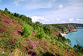 Penisola di Crozon, Finistère. Escursione a Cap le Chevre. 