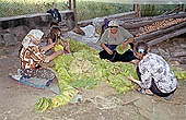 Bulgaria Rhodopi Stock pictures