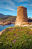 Ile Rousse - Torre Genovese A Petra