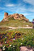 Ile Rousse - Torre Genovese A Petra
