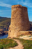 Ile Rousse - Torre Genovese A Petra