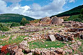 Palmavera col suo Nuraghe.