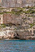 In battello per la grotta di Nettuno. La grotta del teschio. 