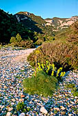 Cala Sisine 