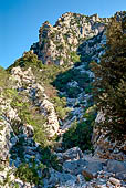 Da Cala Sisine a Cala Biriola. Risaliamo la lunga codula di Sisine. A destra scendono greti di torrenti asciutti, bacu, dal vasto altopiano. 